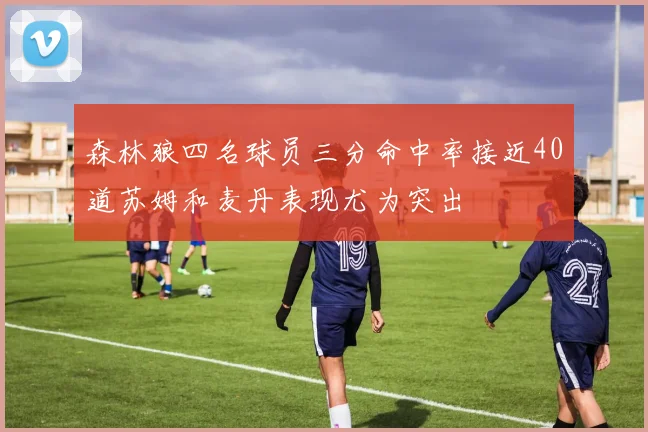 森林狼四名球员三分命中率接近40道苏姆和麦丹表现尤为突出