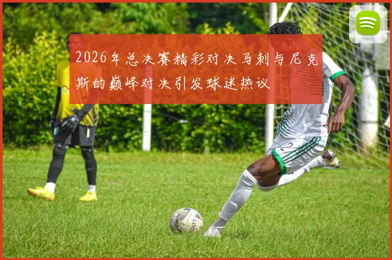 2026年总决赛精彩对决马刺与尼克斯的巅峰对决引发球迷热议